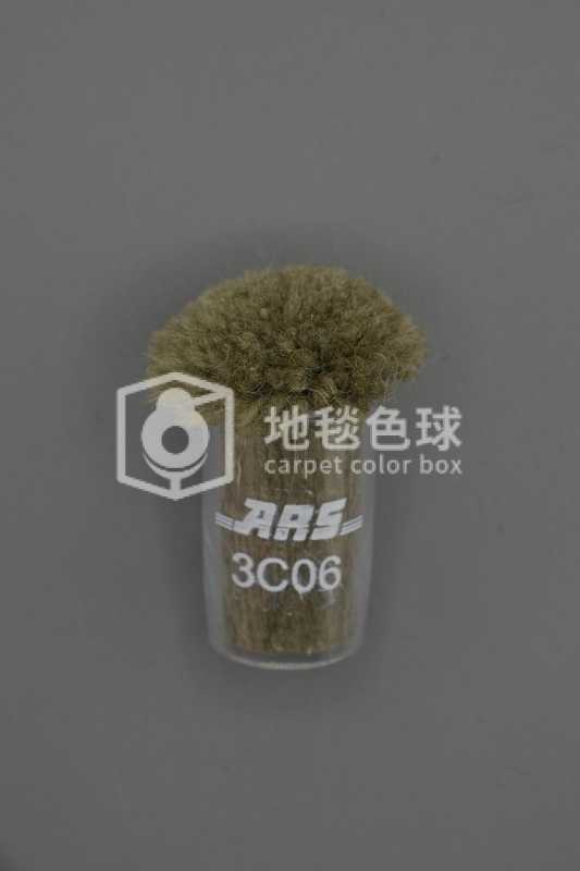 ARS 3C06