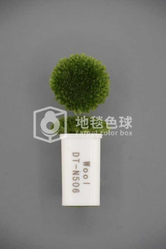 DT N506