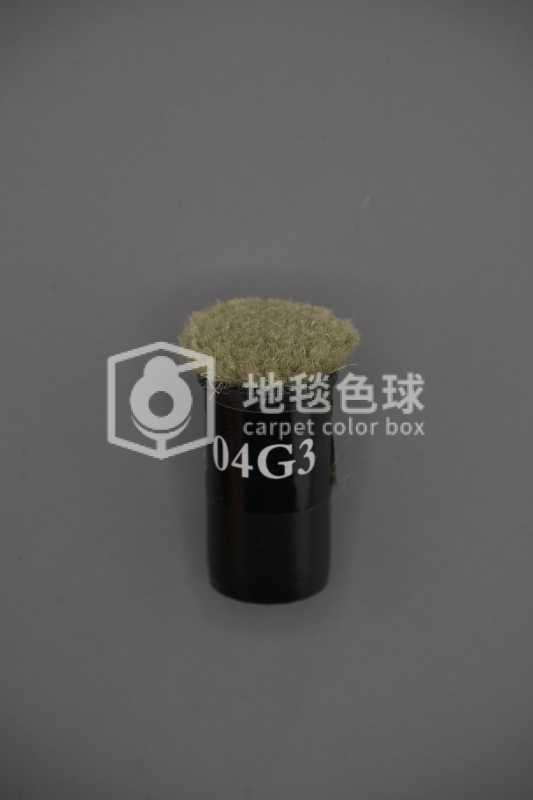 04G3