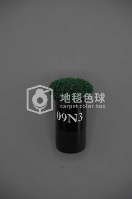 09N3