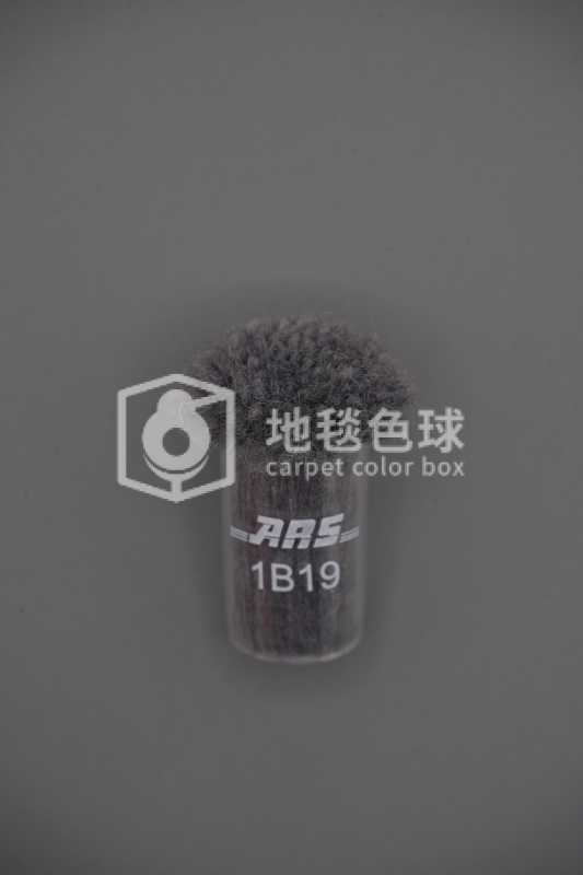 ARS 1B19