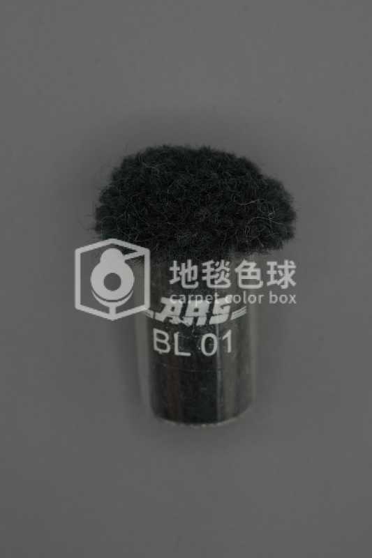 ARS BL01