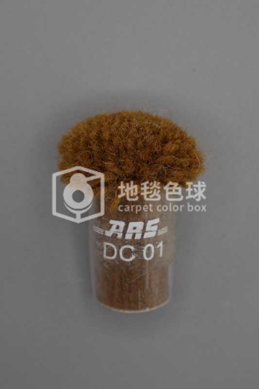 ARS DC01