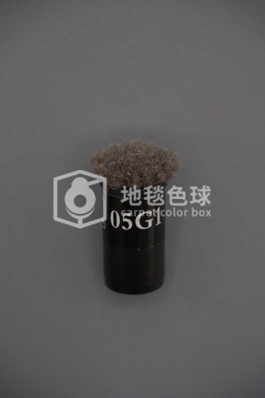 05G1