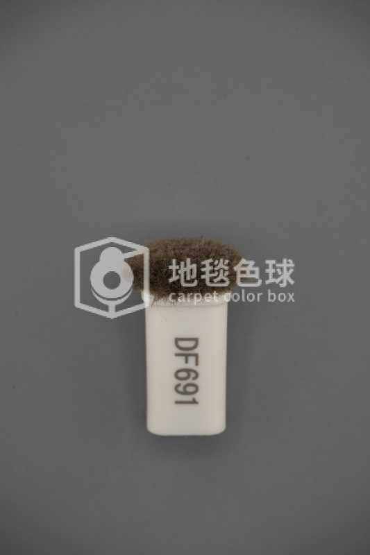 DF691