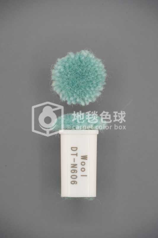 DT N606