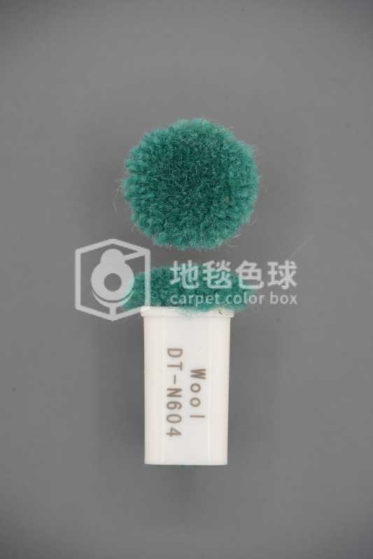 DT N604