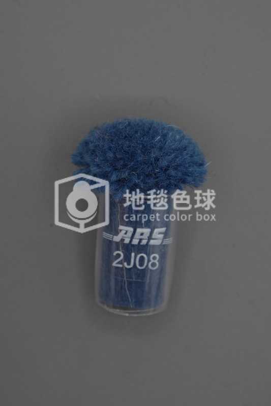 ARS 2J08