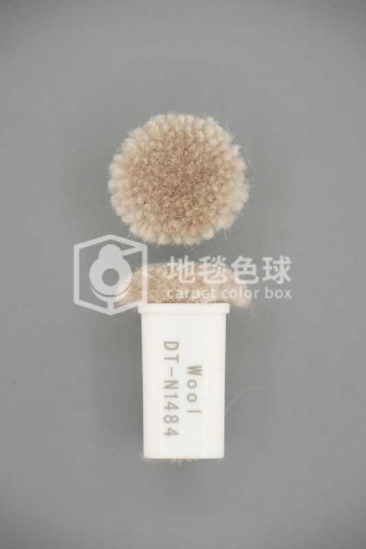 DT N1484