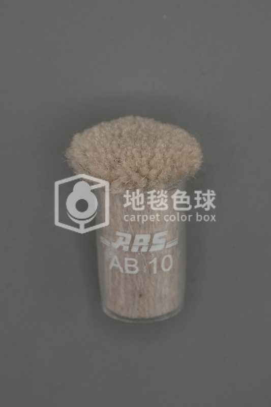 ARS AB10