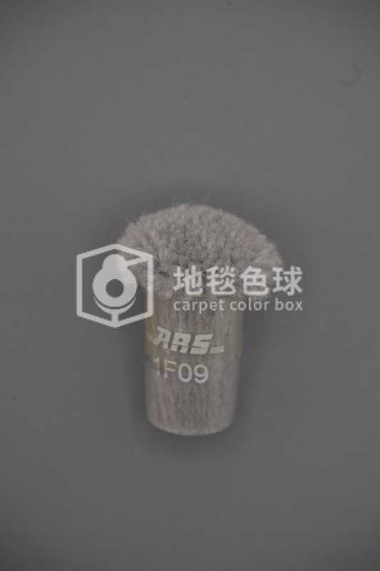 ARS 1F09