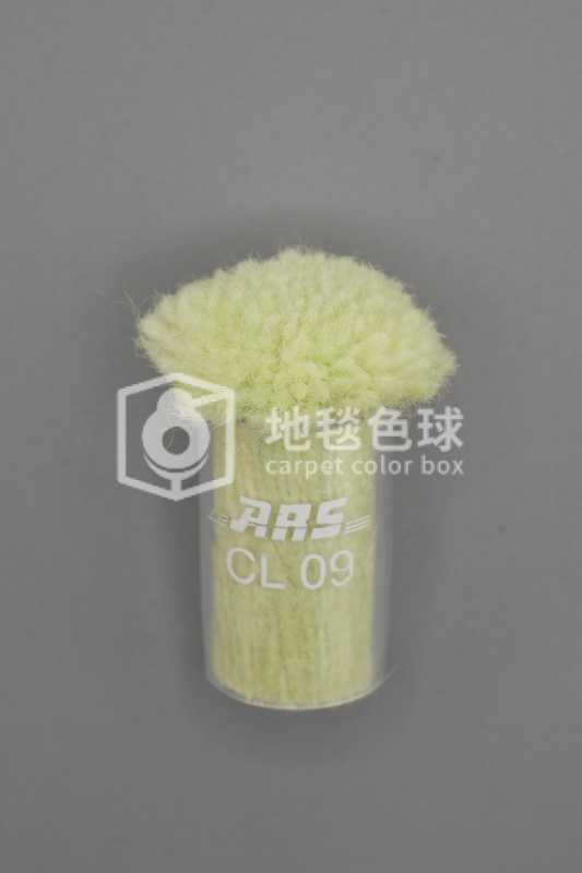 ARS CL09