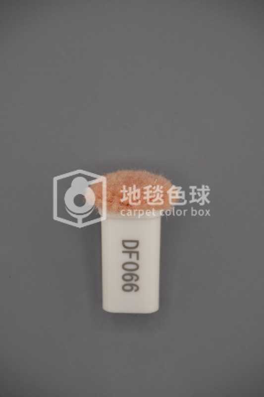 DF066