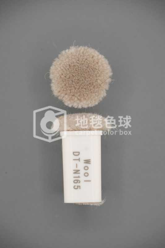 DT N165