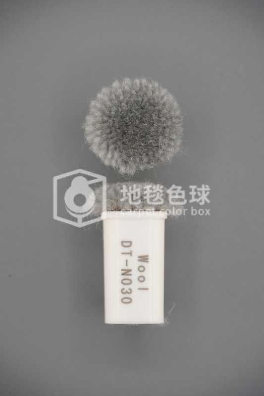 DT N030