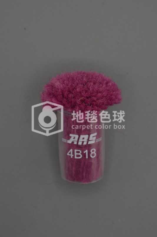 ARS 4B18