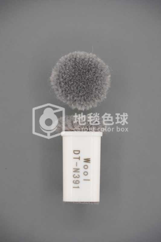 DT N391