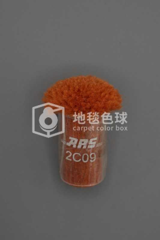 ARS 2C09