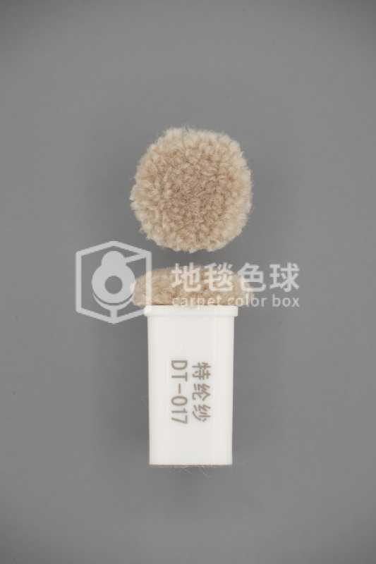 DT 017