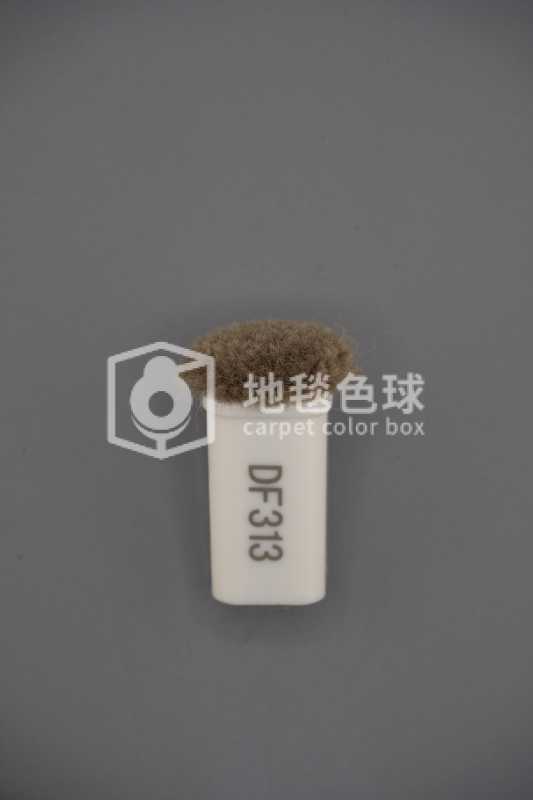 DF313