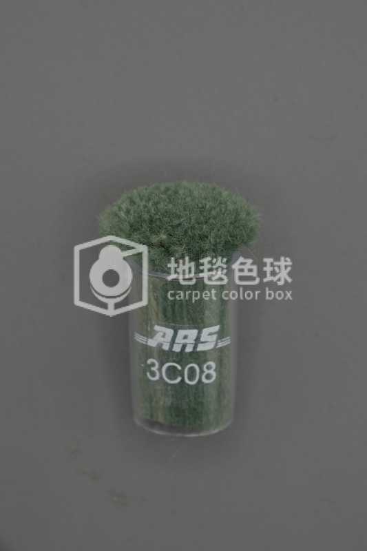 ARS 3C08