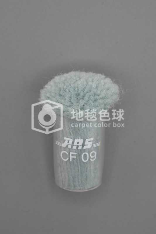 ARS CF09