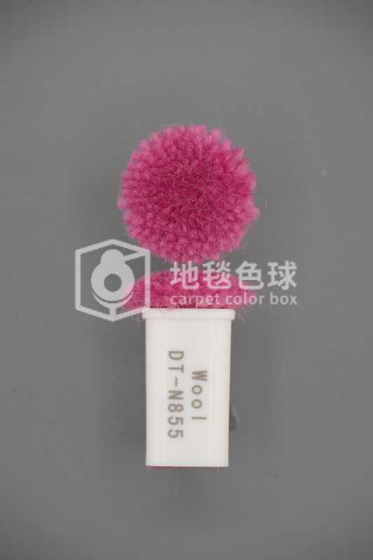 DT N855