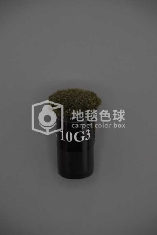 10G3