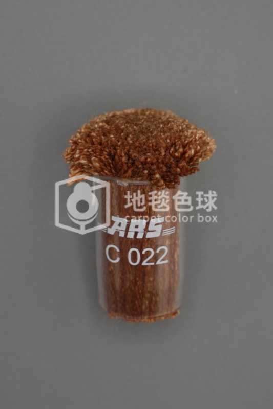 ARS C022