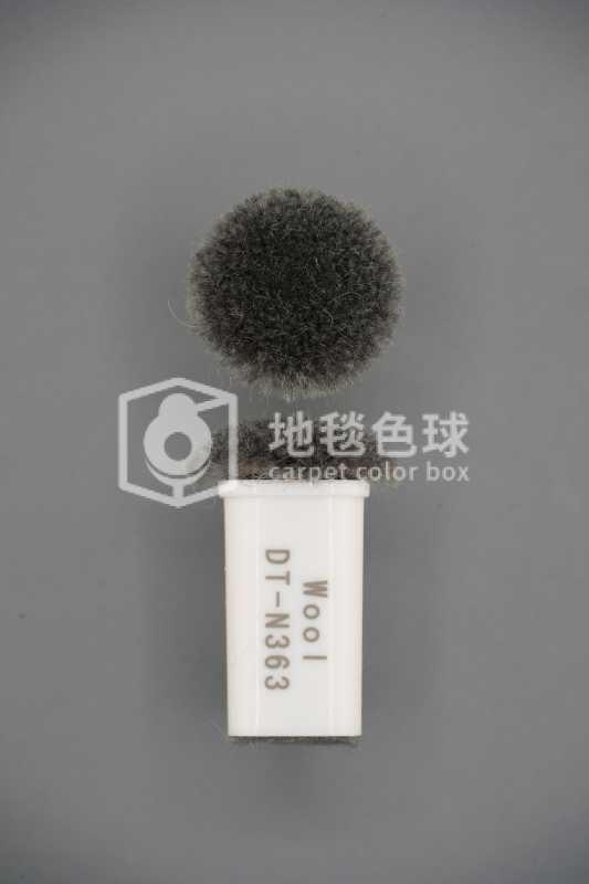 DT N363
