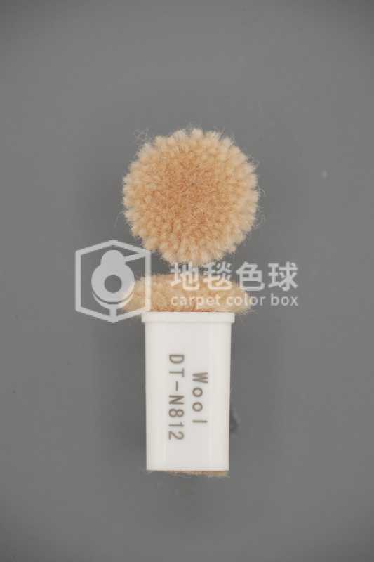 DT N812