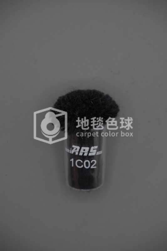 ARS 1C02