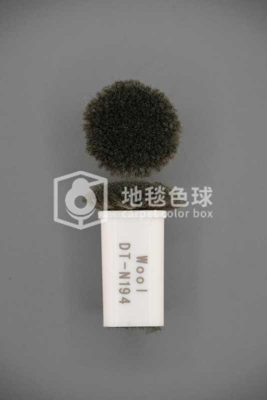 DT N194