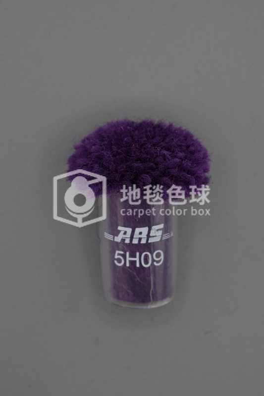 ARS 5H09