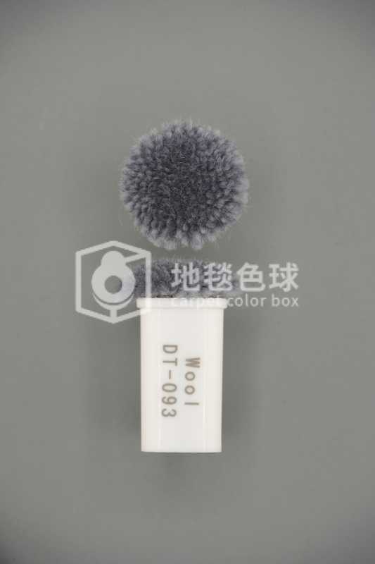 DT 093