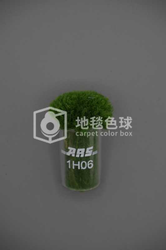 ARS 1H06