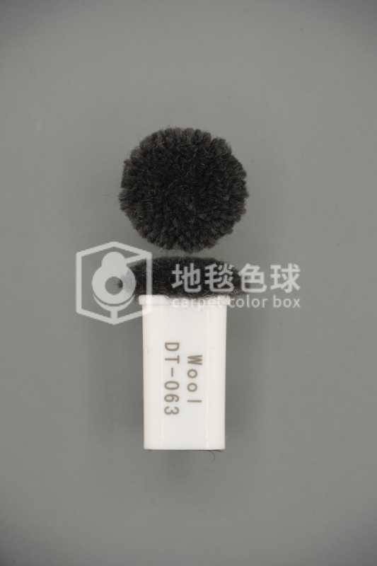 DT 063