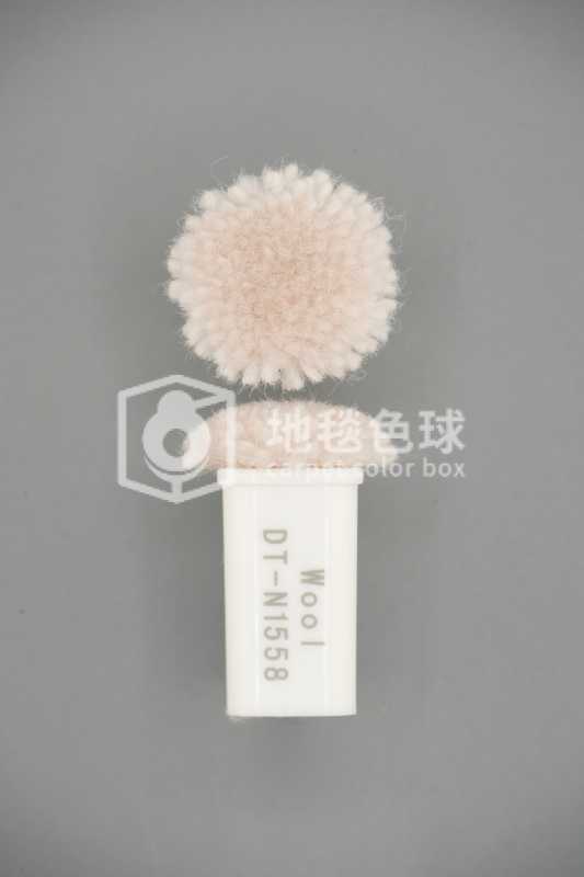 DT N1558