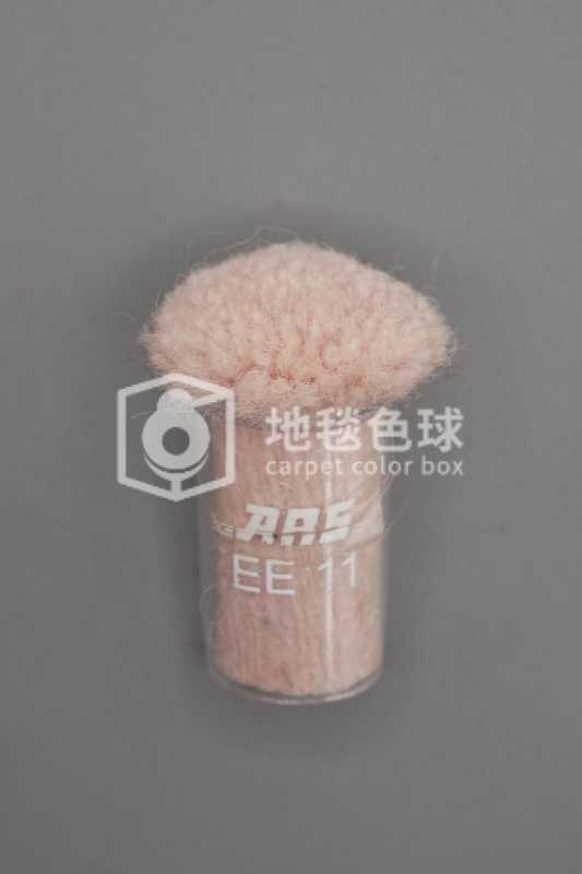 ARS EE11