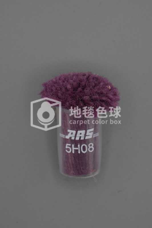 ARS 5H08