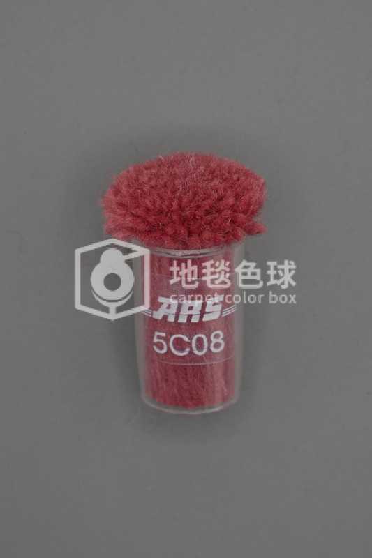 ARS 5C08