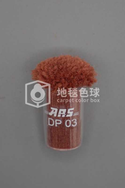ARS DP03