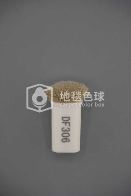 DF306