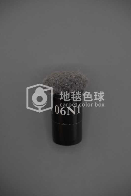 06N1