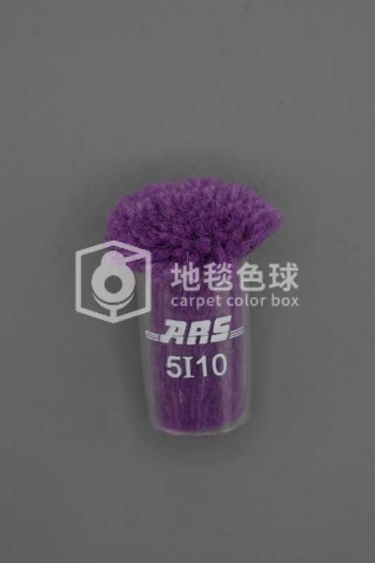 ARS 5I10