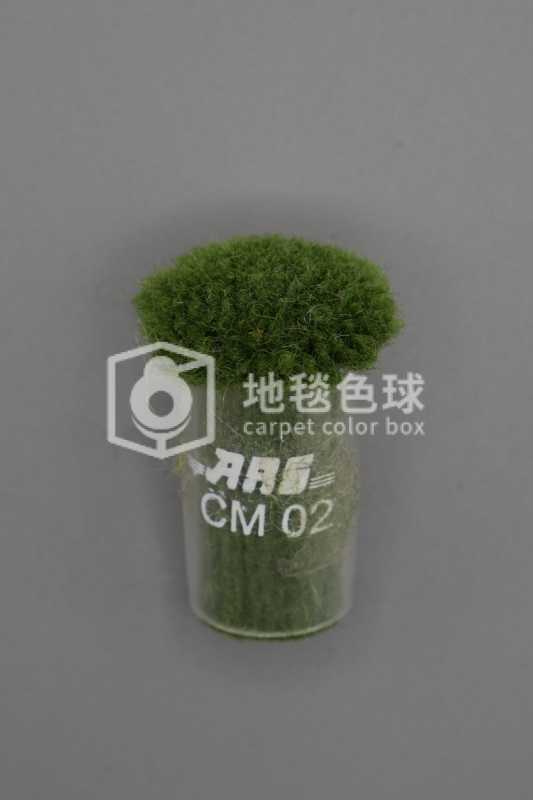 ARS CM02