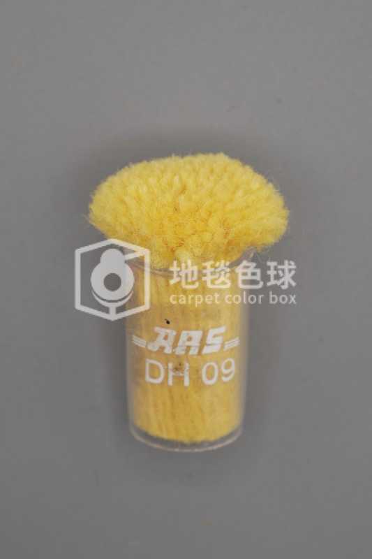 ARS DH09