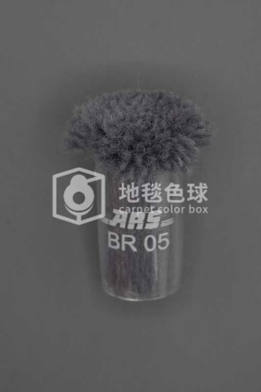 ARS BR05