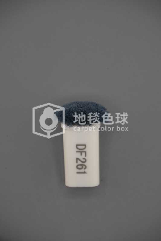 DF261