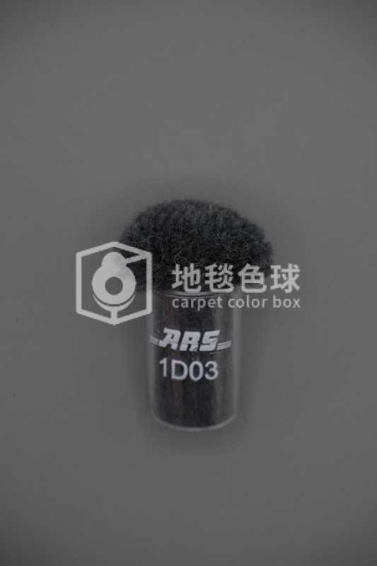 ARS 1D03